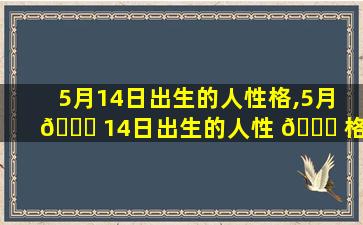 5月14日出生的人性格,5月 🐘 14日出生的人性 🐞 格怎么样